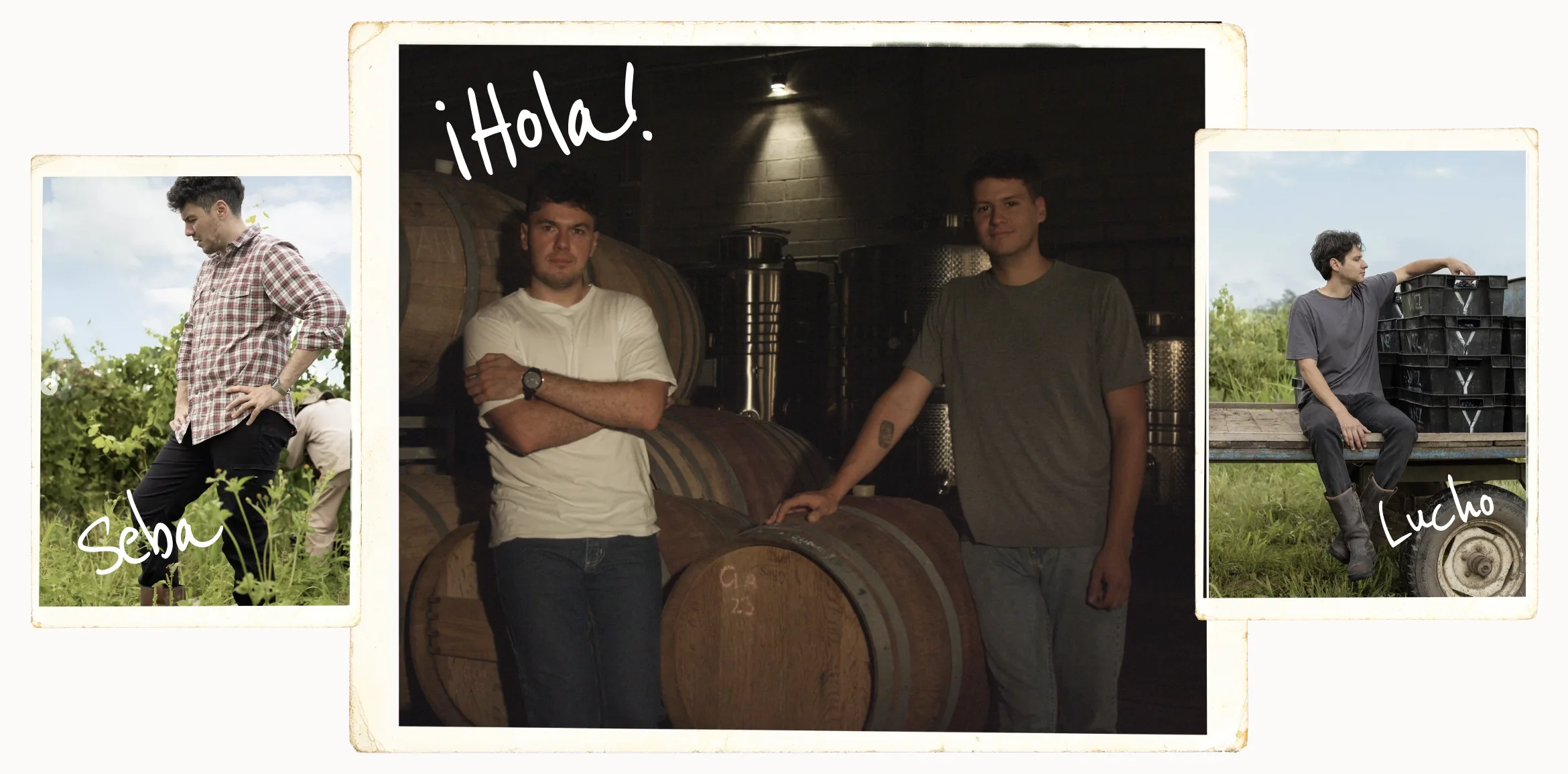 ¡Hola! Lucho y Seba en la bodega entre barricas, junto a fotos de Seba en el viñedo y Lucho en el acoplado de cosecha